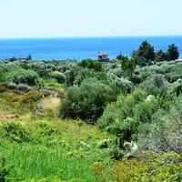 Земельный участок в Греции, Центральная Македония, Центр