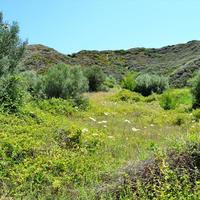 Земельный участок в Греции, Центральная Македония, Центр