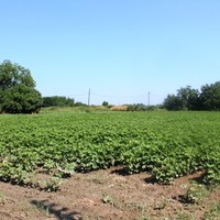 Земельный участок в Греции, Центральная Македония, Центр