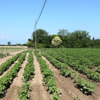 Земельный участок в Греции, Центральная Македония, Центр