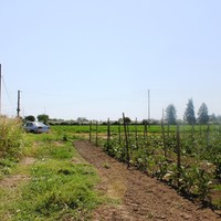 Земельный участок в Греции, Центральная Македония, Центр