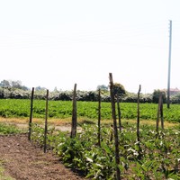 Земельный участок в Греции, Центральная Македония, Центр