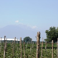 Земельный участок в Греции, Центральная Македония, Центр