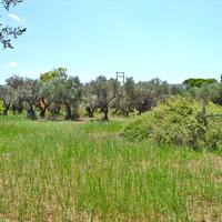 Земельный участок в Греции, Akar