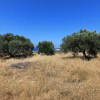 Land plot in Greece, Crete, Irakleion, 1800 sq.m.
