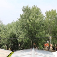 Бизнес-центр в Греции, Центральная Македония, Центр, 300 кв.м.