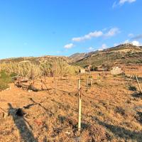 Земельный участок в Греции, Крит, Ираклион, 2000 кв.м.