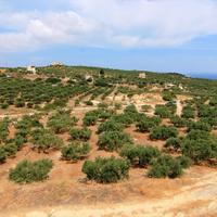 Land plot in Greece, Crete, 5500 sq.m.