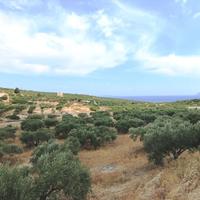 Земельный участок в Греции, Крит, 5500 кв.м.