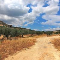 Земельный участок в Греции, Крит, 5500 кв.м.