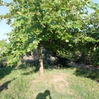 Другое в Греции, Центральная Македония, Центр, 145 кв.м.