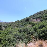 Land plot in Greece, Crete, 1250 sq.m.