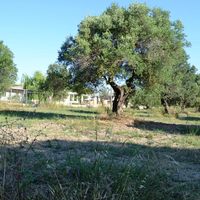 Земельный участок в Греции, Центральная Македония, Центр