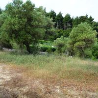 Земельный участок в Греции, Центральная Македония, Центр