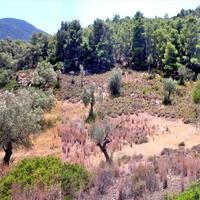 Land plot in Greece, Peloponnese, Kori