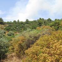 Land plot in Greece, Central Macedonia, Center