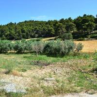Land plot in Greece, Central Macedonia, Center
