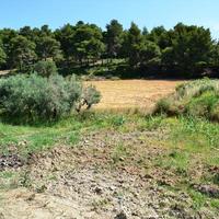 Land plot in Greece, Central Macedonia, Center