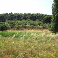 Land plot in Greece, Central Macedonia, Center