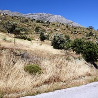 Land plot in Greece, Crete