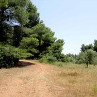 Land plot in Greece, Central Macedonia, Center