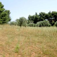 Land plot in Greece, Central Macedonia, Center
