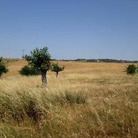 Land plot in Greece, Central Macedonia, Center
