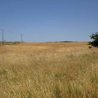 Land plot in Greece, Central Macedonia, Center