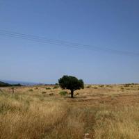 Land plot in Greece, Central Macedonia, Center