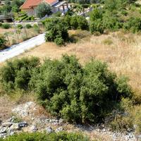Land plot in Greece, Peloponnese, Kori