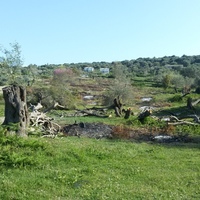 Land plot in Greece, Ionian Islands