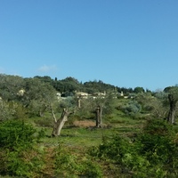 Land plot in Greece, Ionian Islands