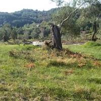 Land plot in Greece, Ionian Islands