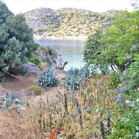 Другое в Греции, Пелопоннес, Kori, 160 кв.м.