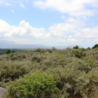 Land plot in Greece, Crete, Chania