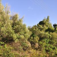 Land plot in Greece, Central Macedonia, Center
