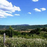 Земельный участок в Греции, Центральная Македония, Центр