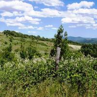 Земельный участок в Греции, Центральная Македония, Центр