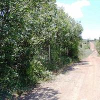 Земельный участок в Греции, Центральная Македония, Центр