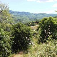 Земельный участок в Греции, Центральная Македония, Центр