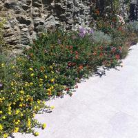 Other in Greece, 210 sq.m.