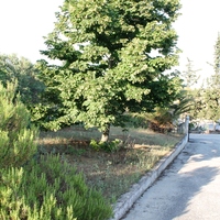 Другое в Греции, Центральная Македония, Центр, 350 кв.м.