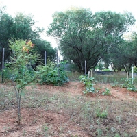 Другое в Греции, Центральная Македония, Центр, 350 кв.м.