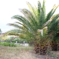 Другое в Греции, Центральная Македония, Центр, 350 кв.м.