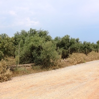 Земельный участок в Греции, Крит