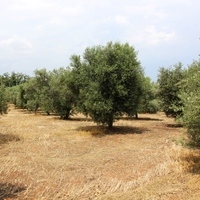 Земельный участок в Греции, Крит