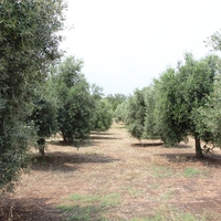 Земельный участок в Греции, Крит