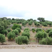 Land plot in Greece, Crete, 50 sq.m.