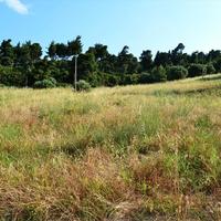 Земельный участок в Греции, Центральная Македония, Центр, 8500 кв.м.