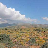 Land plot in Greece, Crete, 197000 sq.m.